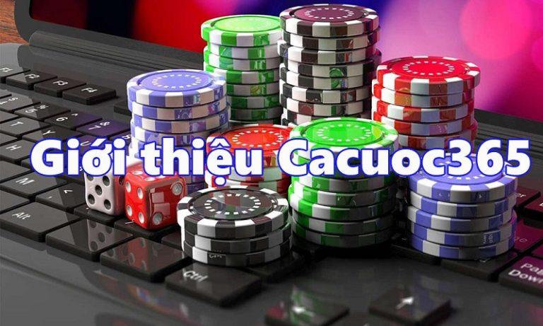 Geld verdienen online casino dễ dàng với các mẹo chơi tiền thật từ chuyên gia