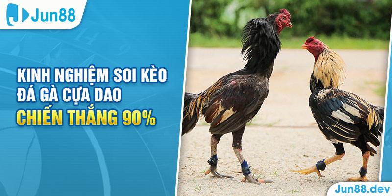 Khám phá các lựa chọn nhà cái mới đáng tin cậy cho người chơi tại Việt Nam