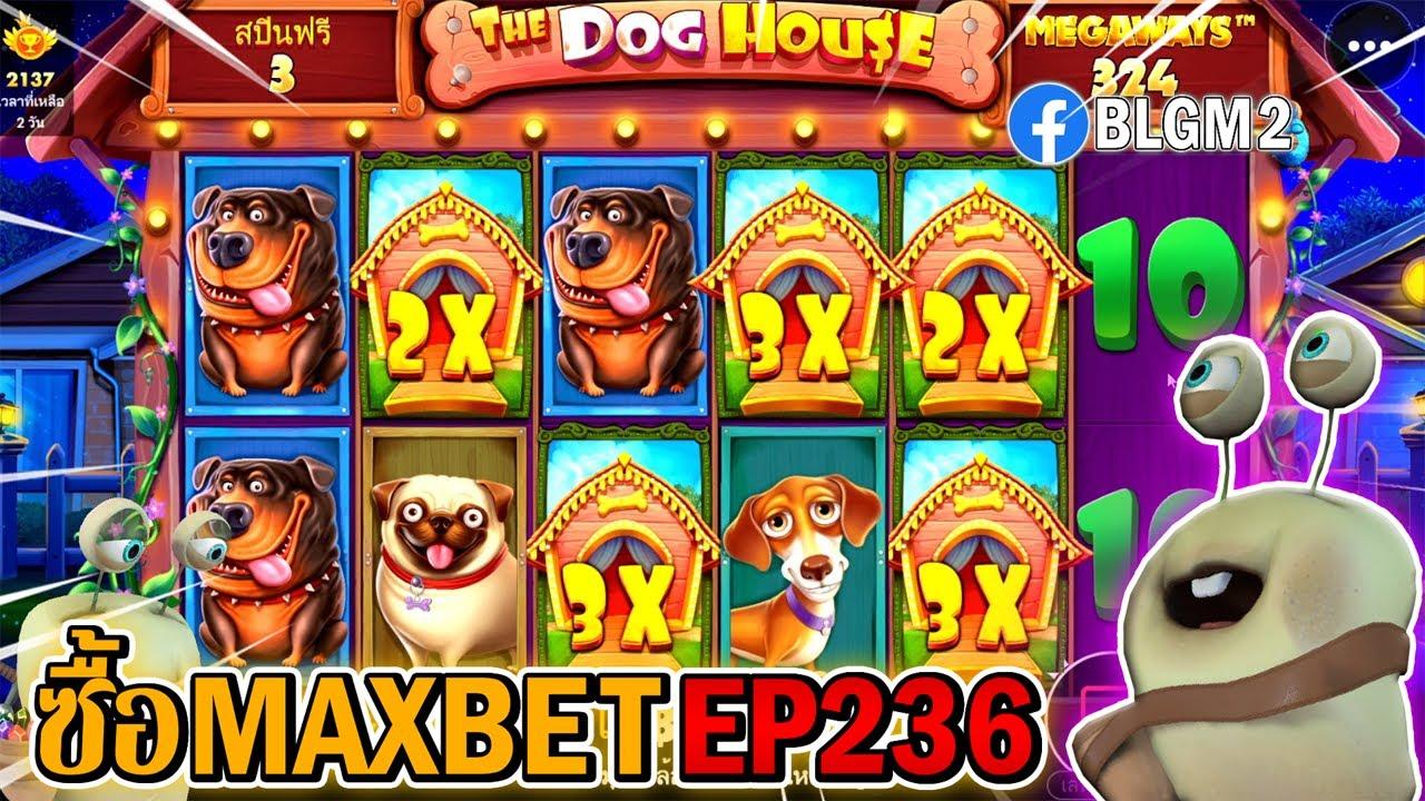 Khám phá các game trên Google miễn phí hấp dẫn dành cho mọi lứa tuổi