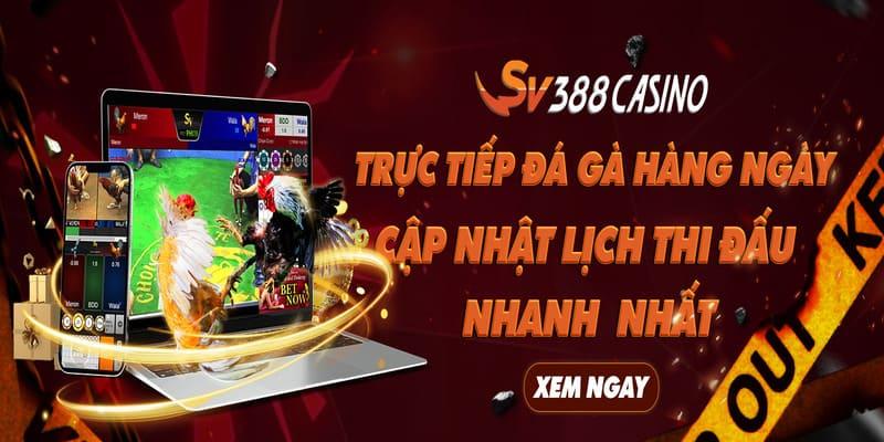 Tải game đánh bài xì tố miễn phí và trải nghiệm đỉnh cao xì tố trên điện thoại